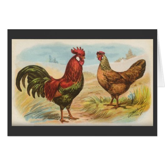 Graham - Leghorn Chickens Cards (Front Horizontal)