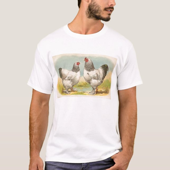 Graham - Light Brahma Chickens T-Shirt (Front)