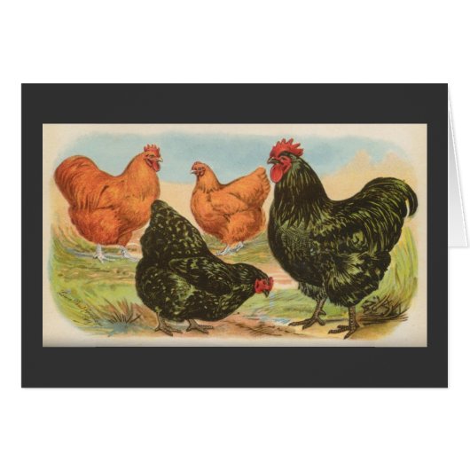 Graham - Orpington Chickens Cards (Front Horizontal)