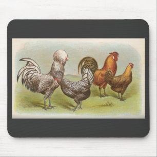 Graham - Silver Polish & Golden Penciled Hambu Chi Mouse Pad