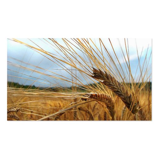 Grain Emporium Business Card | Zazzle