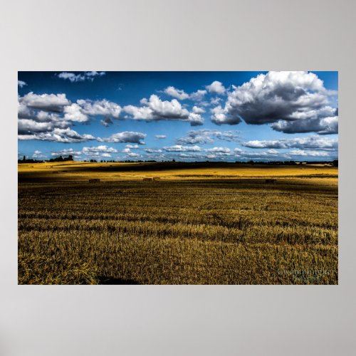 grain field after harvest poster