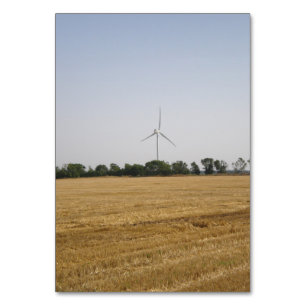 Grain field on the wind farm Table Number