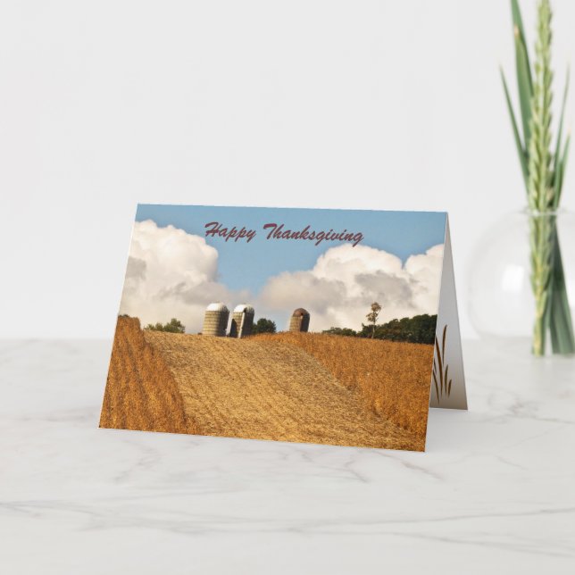 Grain Harvest Thanksgiving Holiday Card (Front)