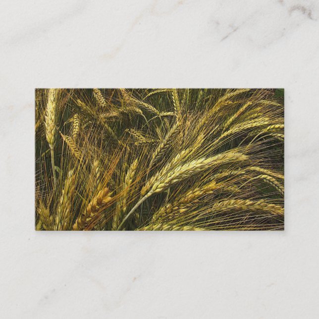Grain Market Business Card (Front)