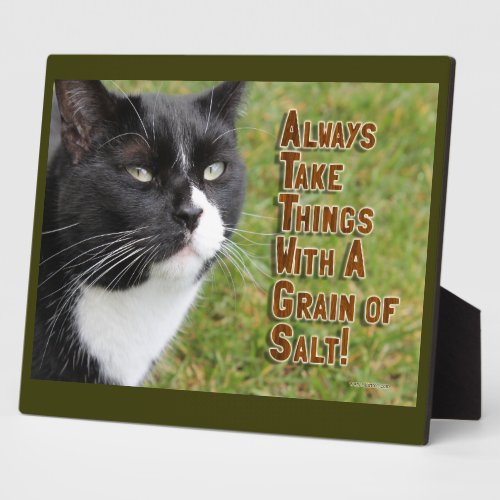 Grain of Salt Cat Advice Motivation Time Plaque