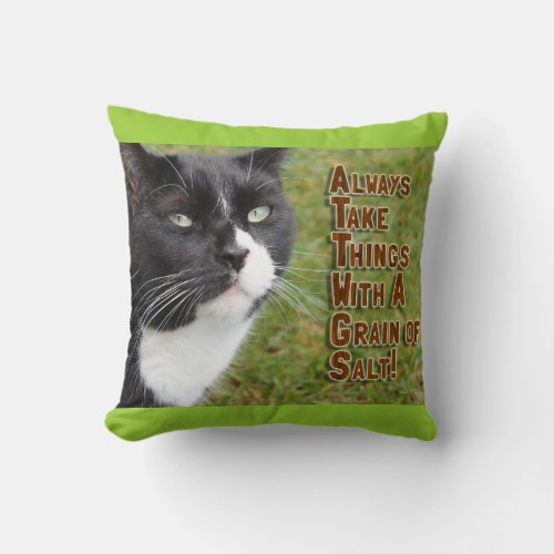 Grain Of Salt Cat Motivational Quote Photo Throw Pillow