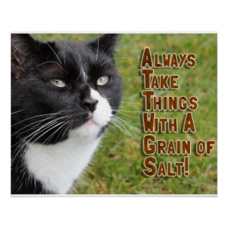 Grain Of Salt Cat Motivational Slogan Photo