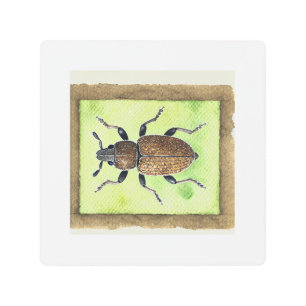 Grain weevil 270924IREF227 - Watercolor Metal Print