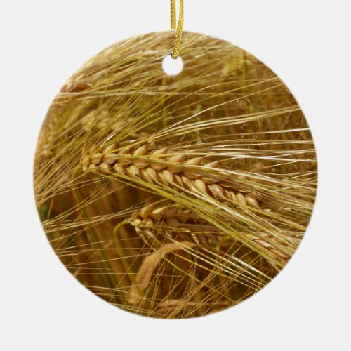 Grains of wheat in the field  Its Harvest Time  Ceramic Ornament