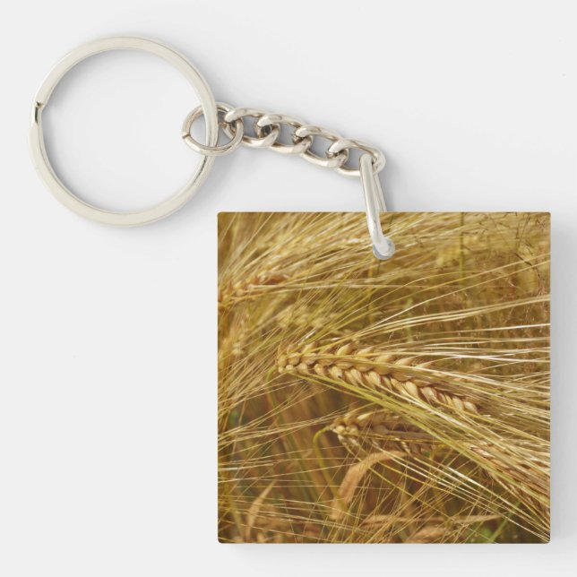 Grains of wheat in the field.  It’s Harvest Time!  Keychain (Front)