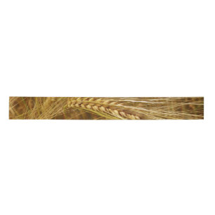 Grains of wheat in the field. It’s Harvest Time! Satin Ribbon