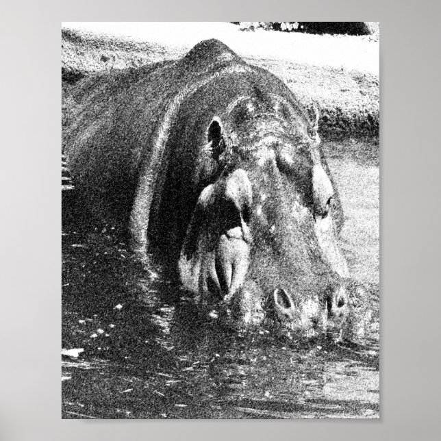 Grainy Black White Hippo Art, Poster (Front)