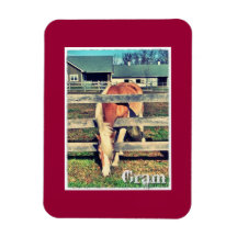 Gram Deluxe Edition Magnet