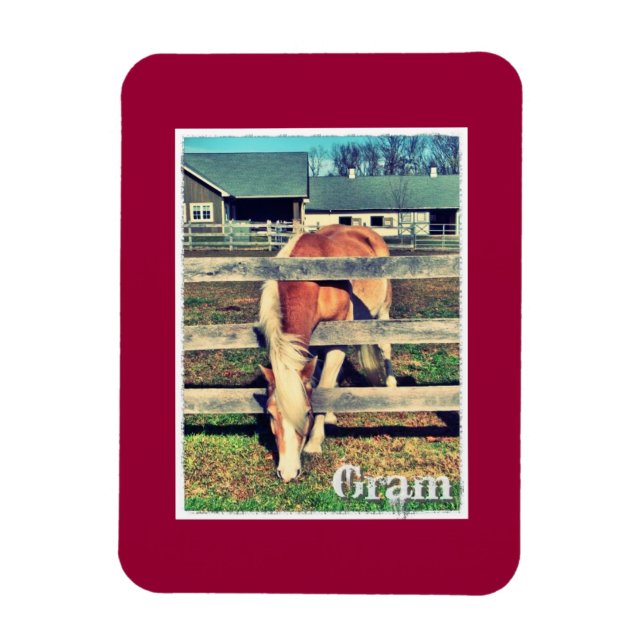 Gram Deluxe Edition Magnet (Vertical)