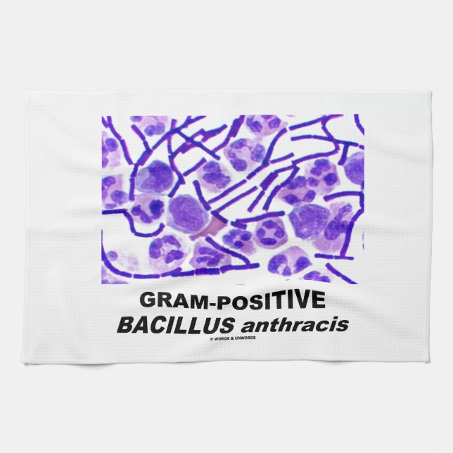 Gram-Positive Bacillus anthracis (Bacteria) Kitchen Towel (Horizontal)