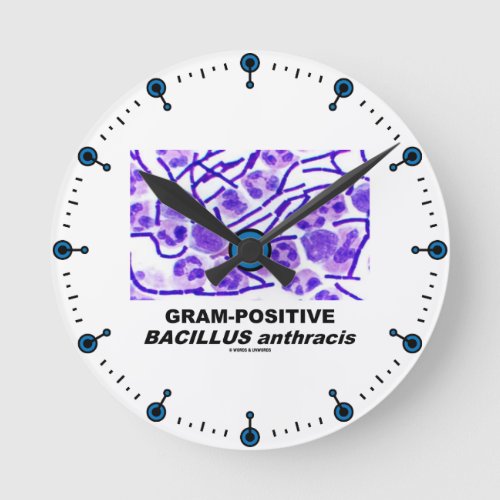 Gram_Positive Bacillus anthracis Bacteria Round Clock