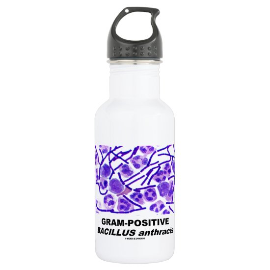 Gram-Positive Bacillus anthracis (Bacteria) Water Bottle