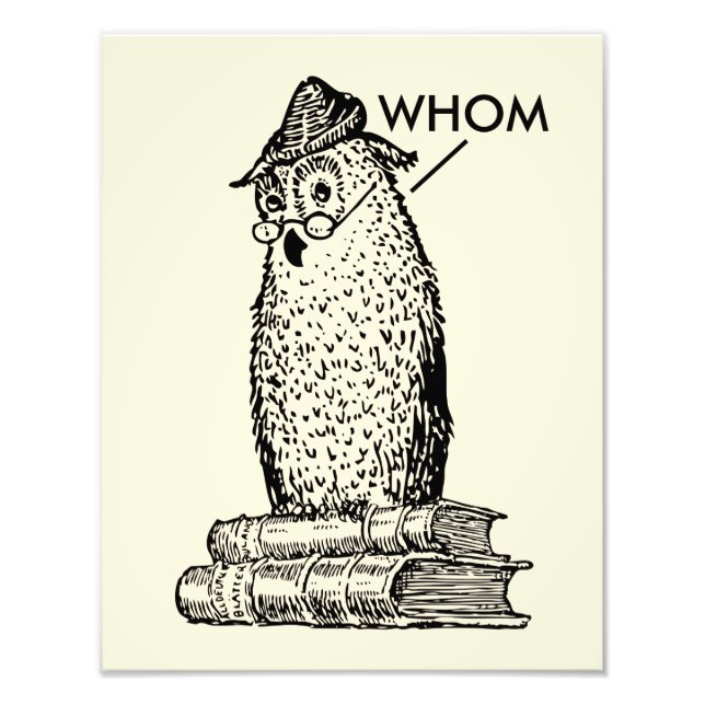 Grammar Owl Whom/Who Photo Print (Front)