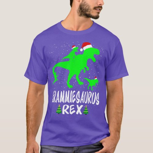 Grammie T Rex Matching Family Christmas Dinosaur S T_Shirt