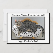 Grammy, You're Puurrfect! Tiger Cat Mother's Day Holiday Card