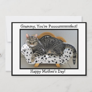 Grammy, You're Puurrfect! Tiger Cat Mother's Day Holiday Card