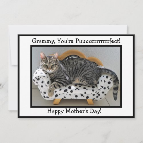 Grammy Youre Puurrfect Tiger Cat Mothers Day Holiday Card