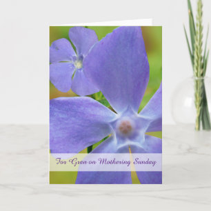 Gran Mothering Sunday with Flowering Vinca Vine Card