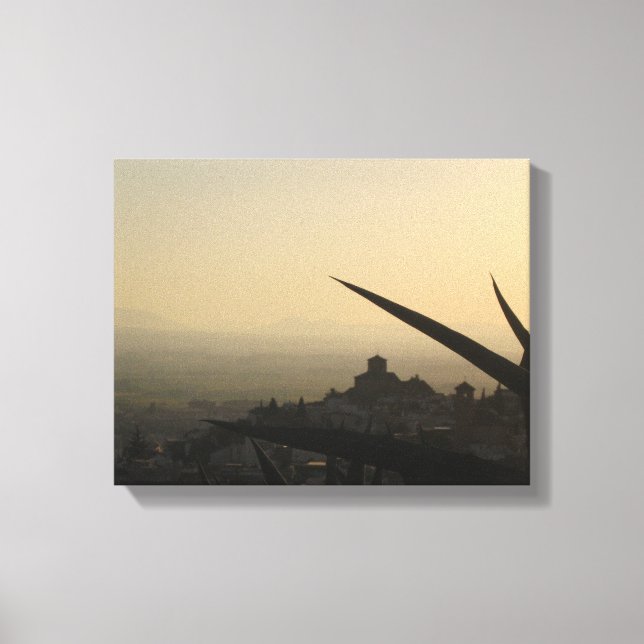 Granada city Spain photo  Single Canvas Print (Front)