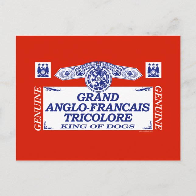 Grand Anglo-Francais Tricolore Postcard (Front)