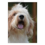 Grand Basset Dog Cards
