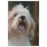 Grand Basset Dog Post-it Notes