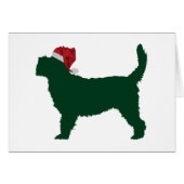 Grand Basset Griffon Vendeen (Front Horizontal)