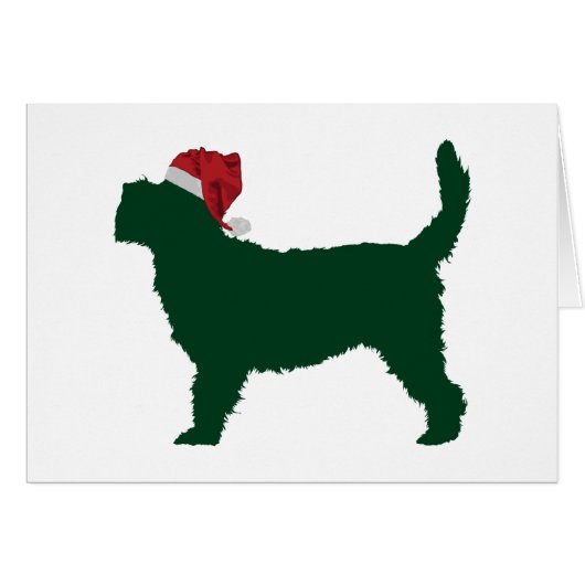 Grand Basset Griffon Vendeen (Front Horizontal)