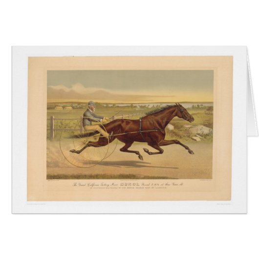 Grand California Trotting Mare Sunol (0652A) (Front Horizontal)