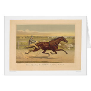 Grand California Trotting Mare Sunol (0652A) Cards