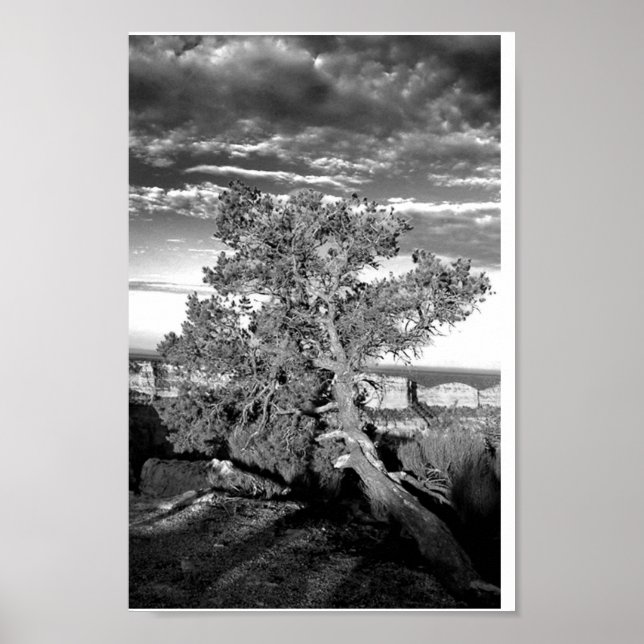 Grand Canyon 03 Poster (Front)