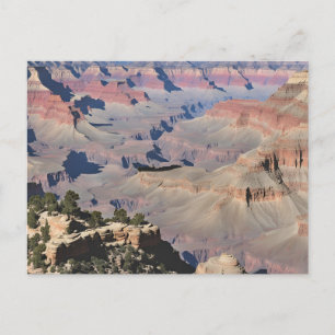 Grand Canyon (12) Postcard