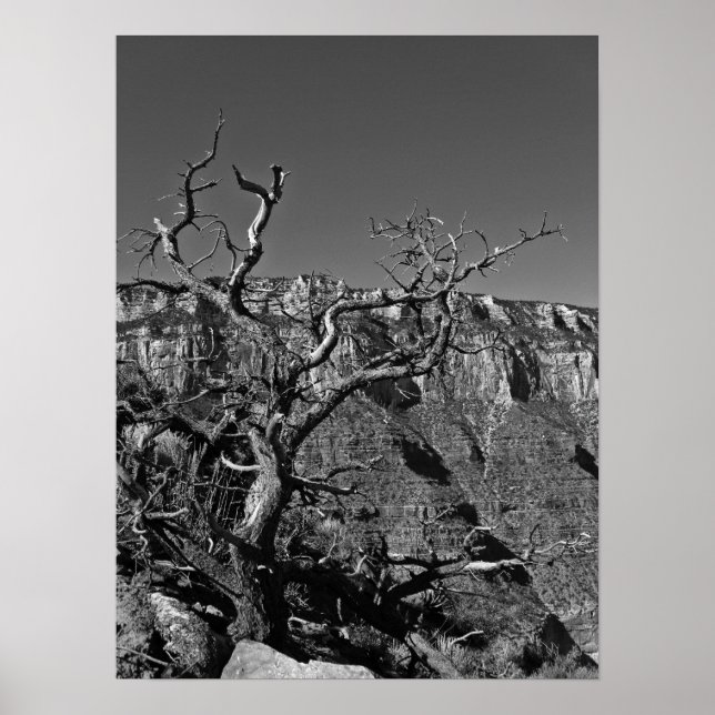 Grand Canyon #1 Poster (Front)