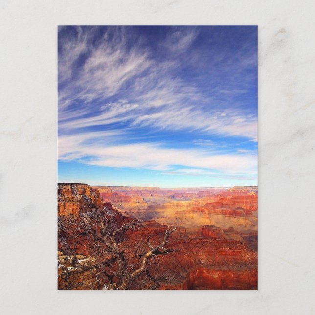Grand Canyon, Arizona Postcard (Front)