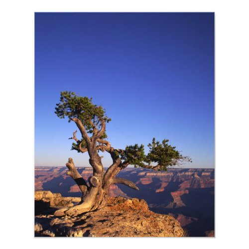 Grand Canyon Arizona USA Photo Print