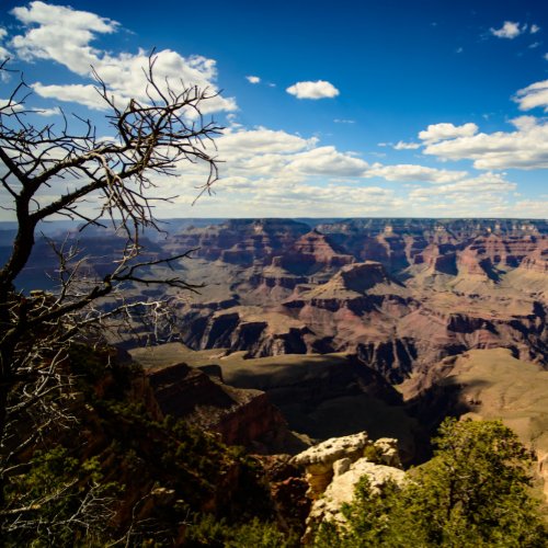 Grand Canyon Calendar