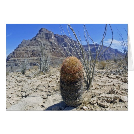 Grand Canyon flower Cards (Front Horizontal)