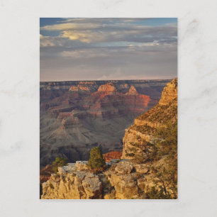 Grand Canyon from the south rim at sunset, 2 Postcard