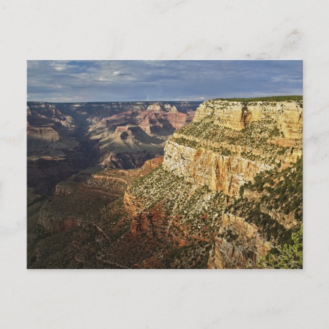 Grand Canyon from the south rim at sunset, 5 Postcard (Front)