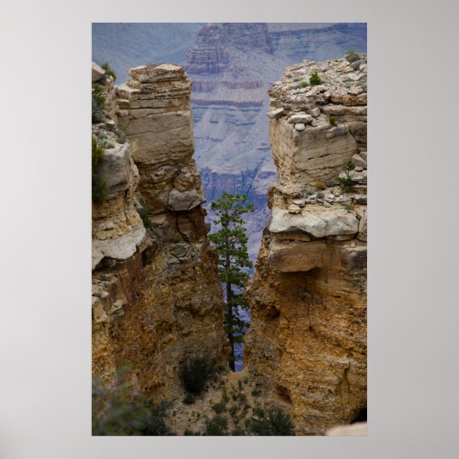 Grand Canyon Hidden Tree 4822 Print (Front)