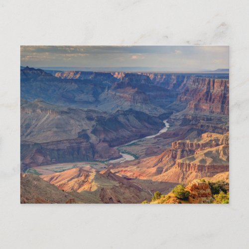 Grand Canyon National Park Ariz Postcard