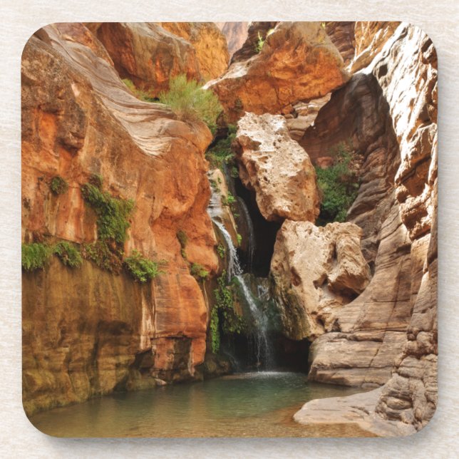 Grand Canyon National Park, Arizona Beverage Coaster (Front)