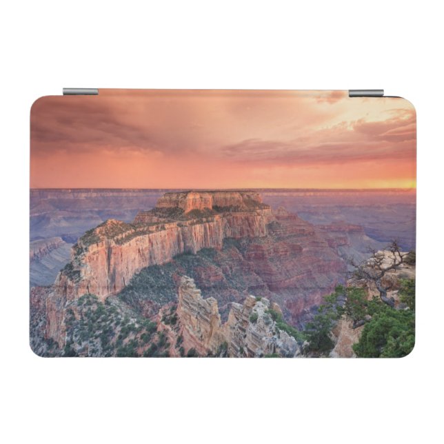 Grand Canyon National Park, Arizona iPad Mini Cover (Horizontal)