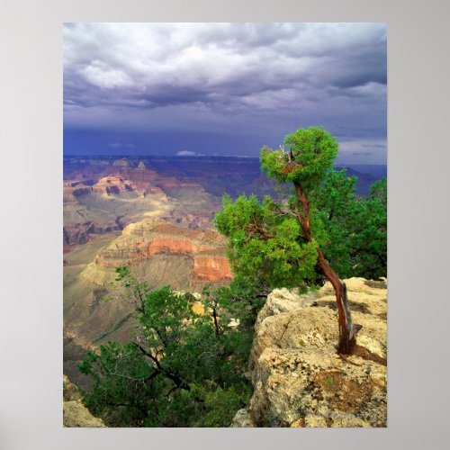 Grand Canyon National Park Arizona United 3 Poster